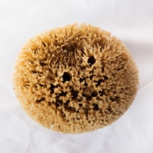 Esponja Baño Marina, Honey Comb
